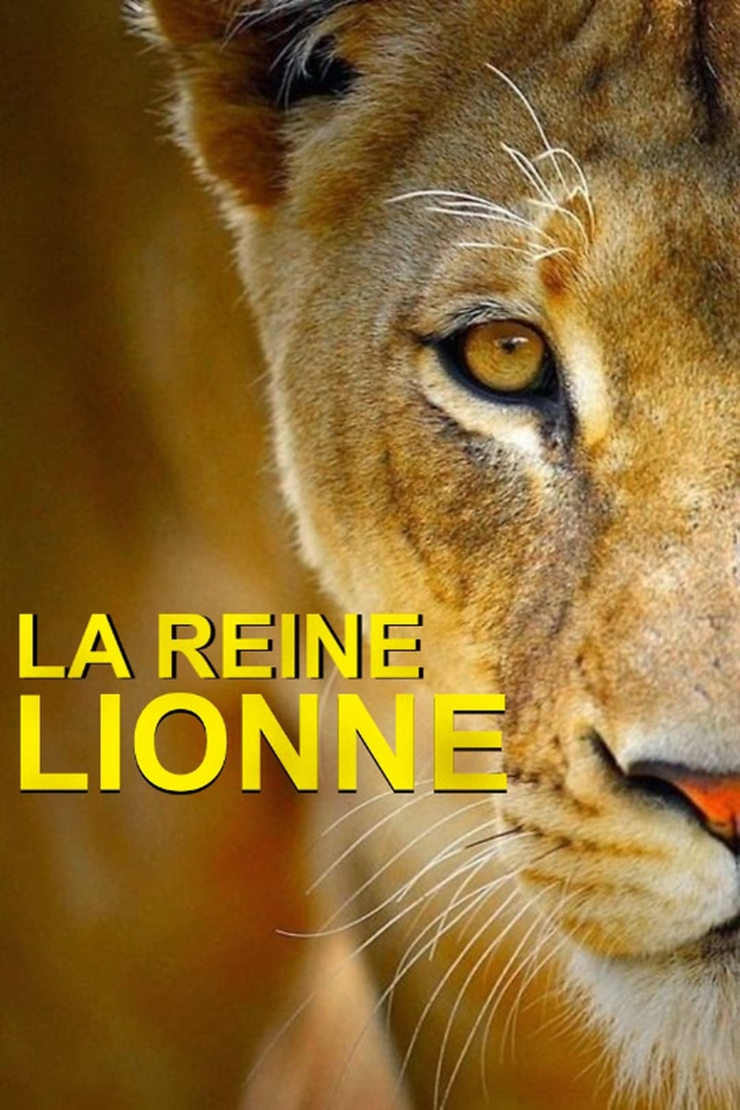 Lioness in Exile