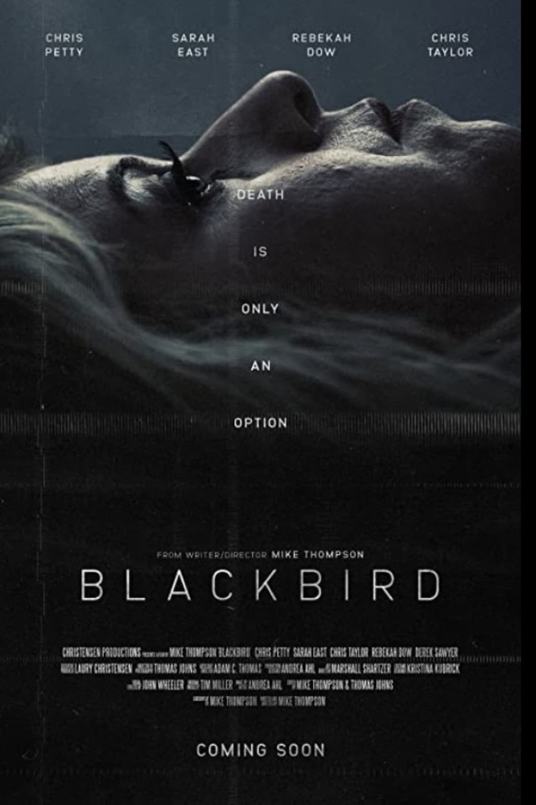 Blackbird