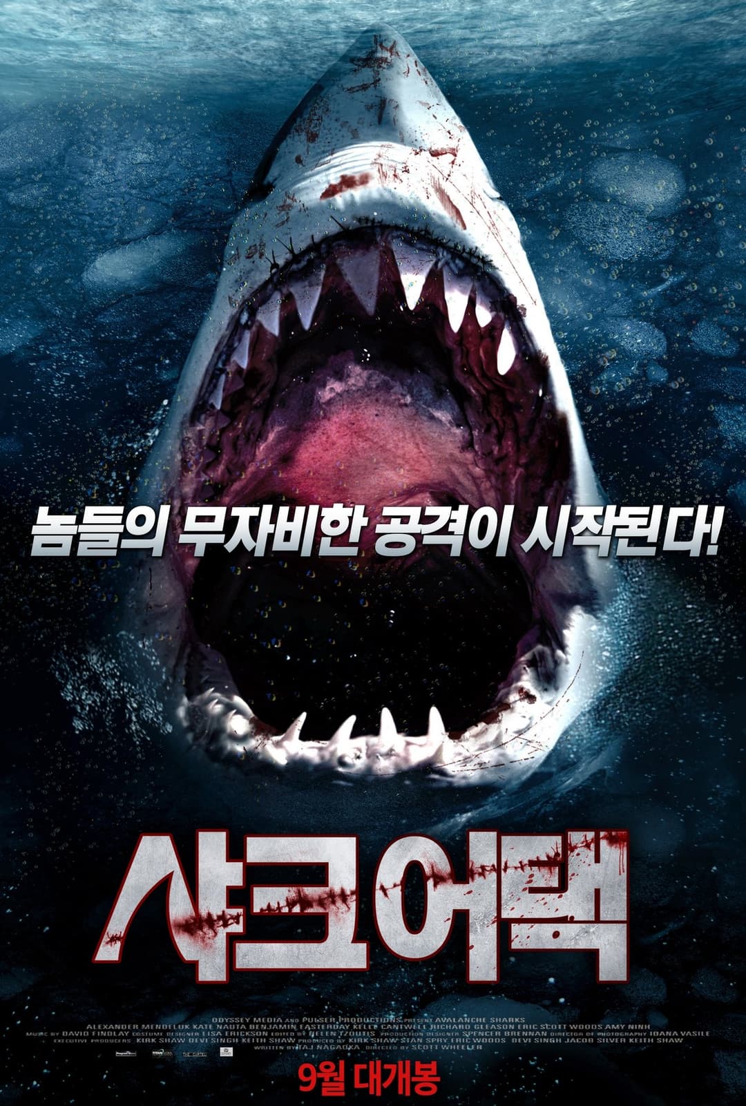 Avalanche Sharks