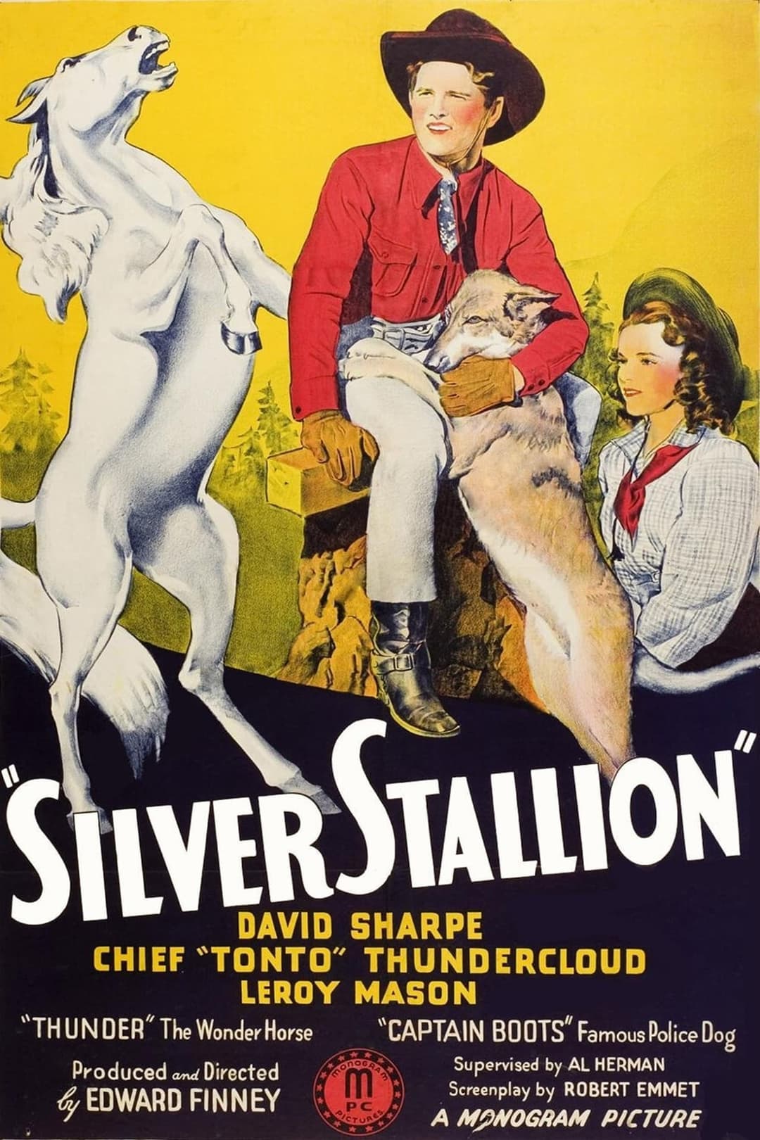 Silver Stallion