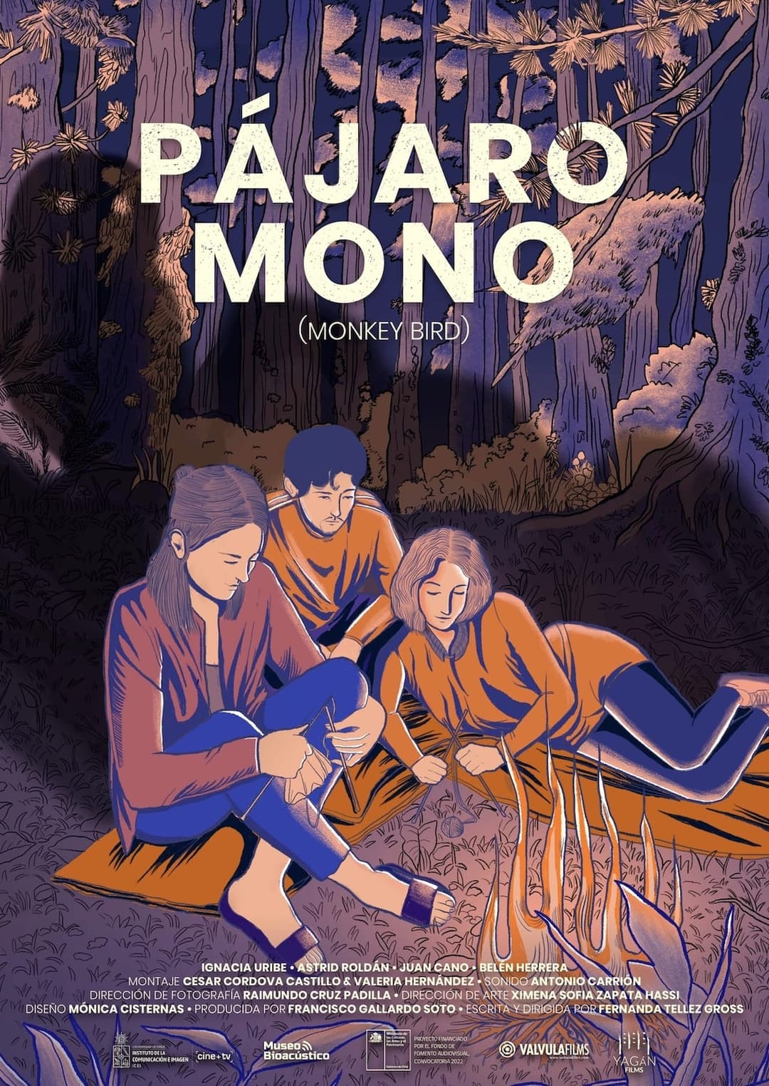 Pájaro mono