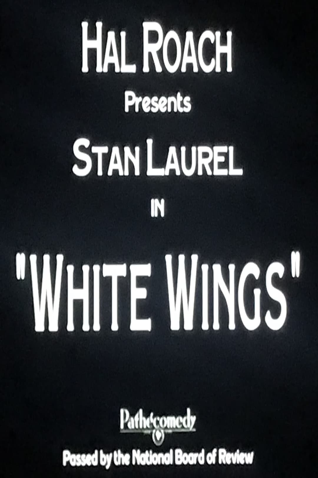 White Wings