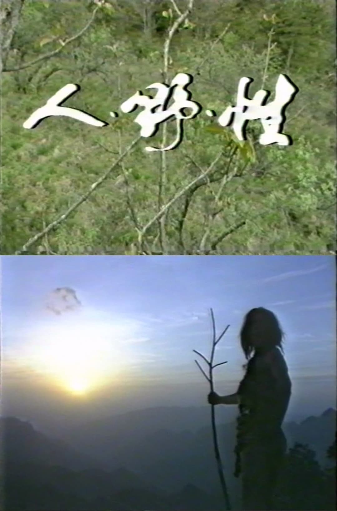 人·野·性