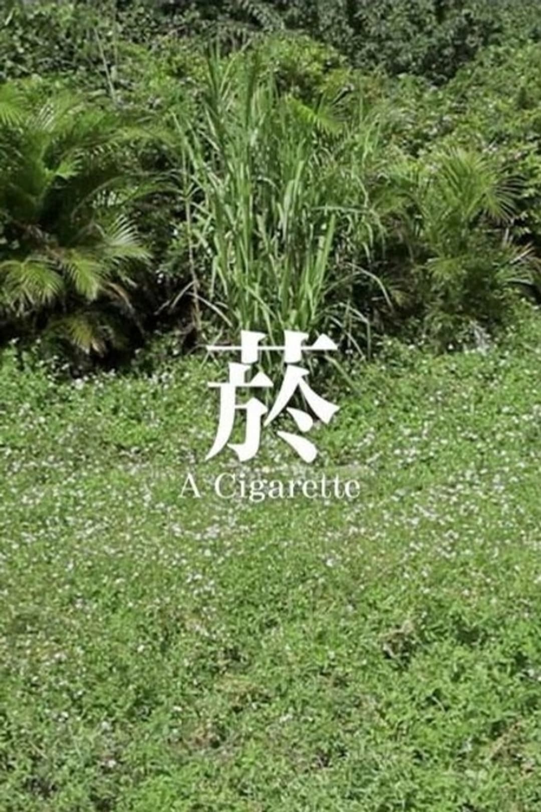 菸