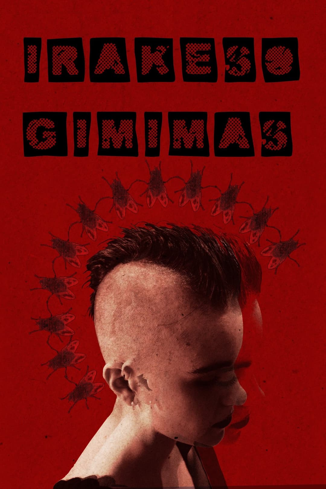 Irakeso Gimimas