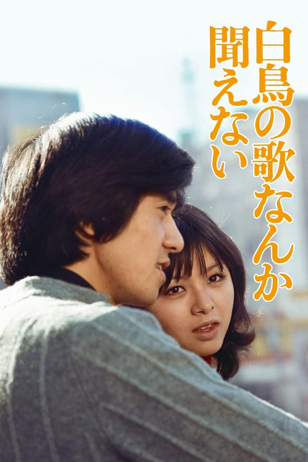 白鳥の歌なんか聞こえない