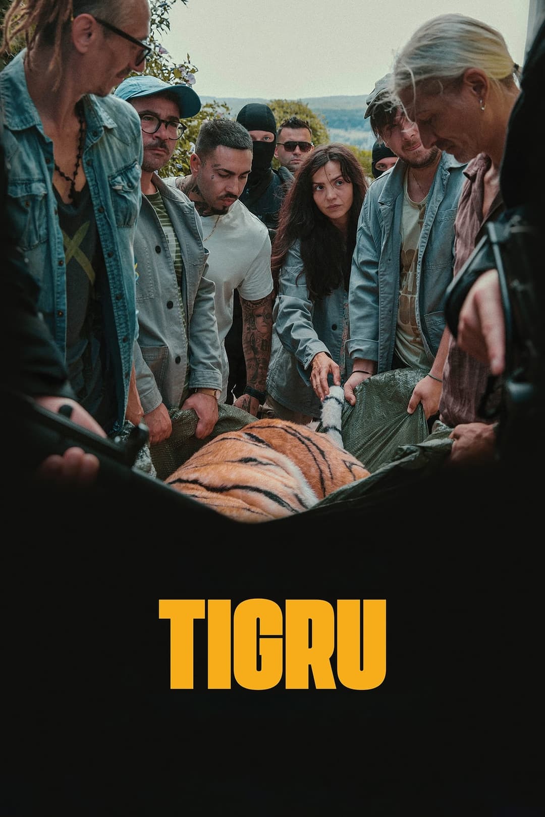 Tigru