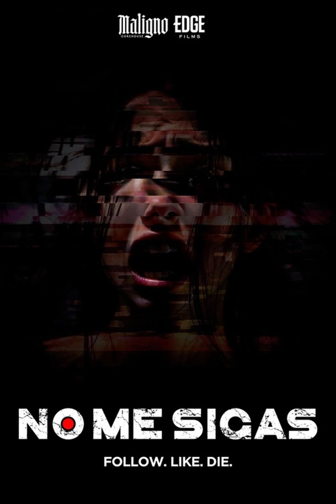 No me sigas