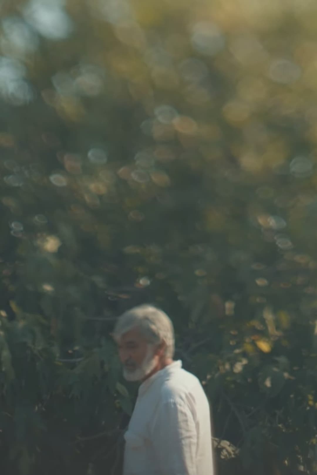 Bakılının gündəliyi - 3: Yadigar