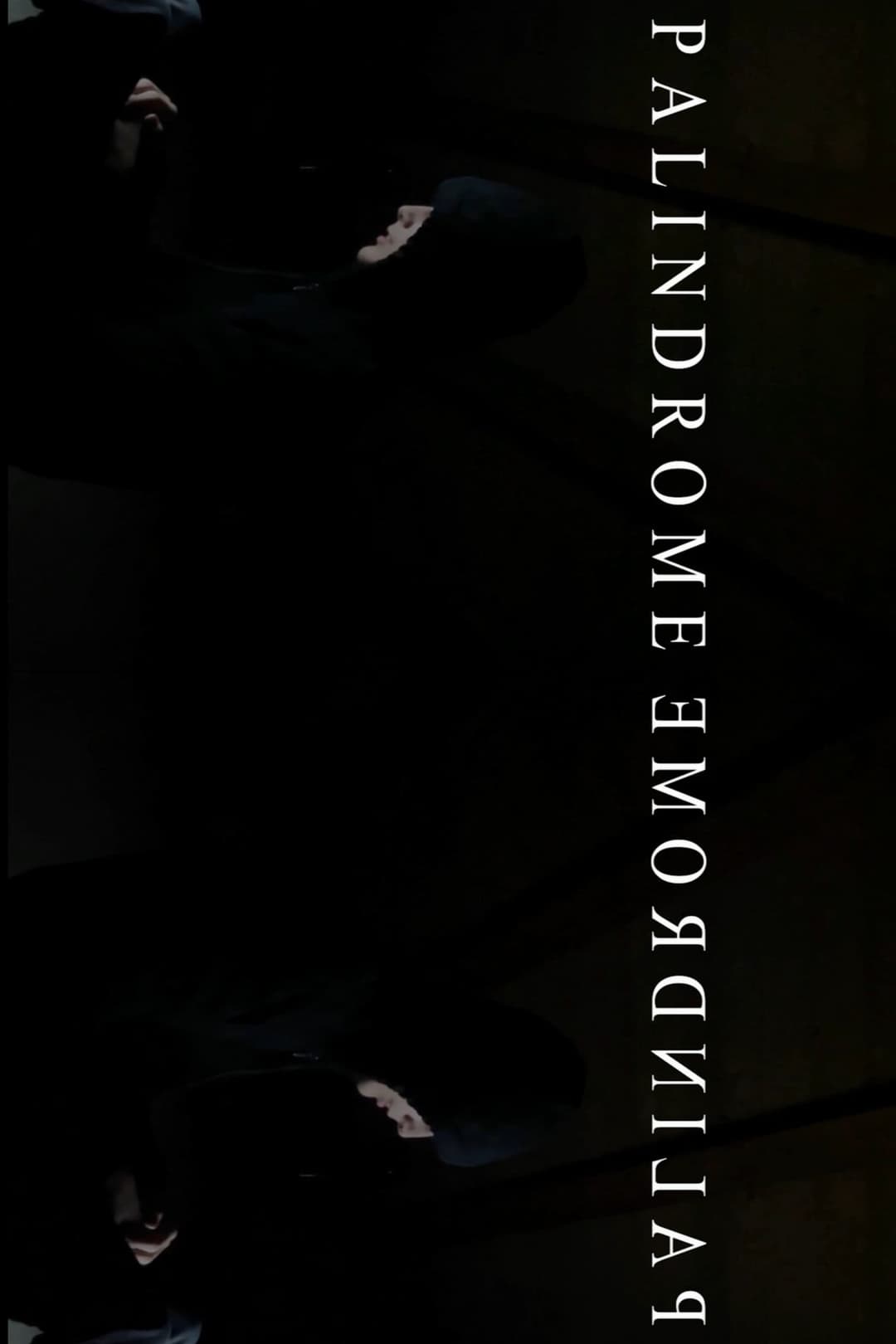 PalindromeemordnilaP