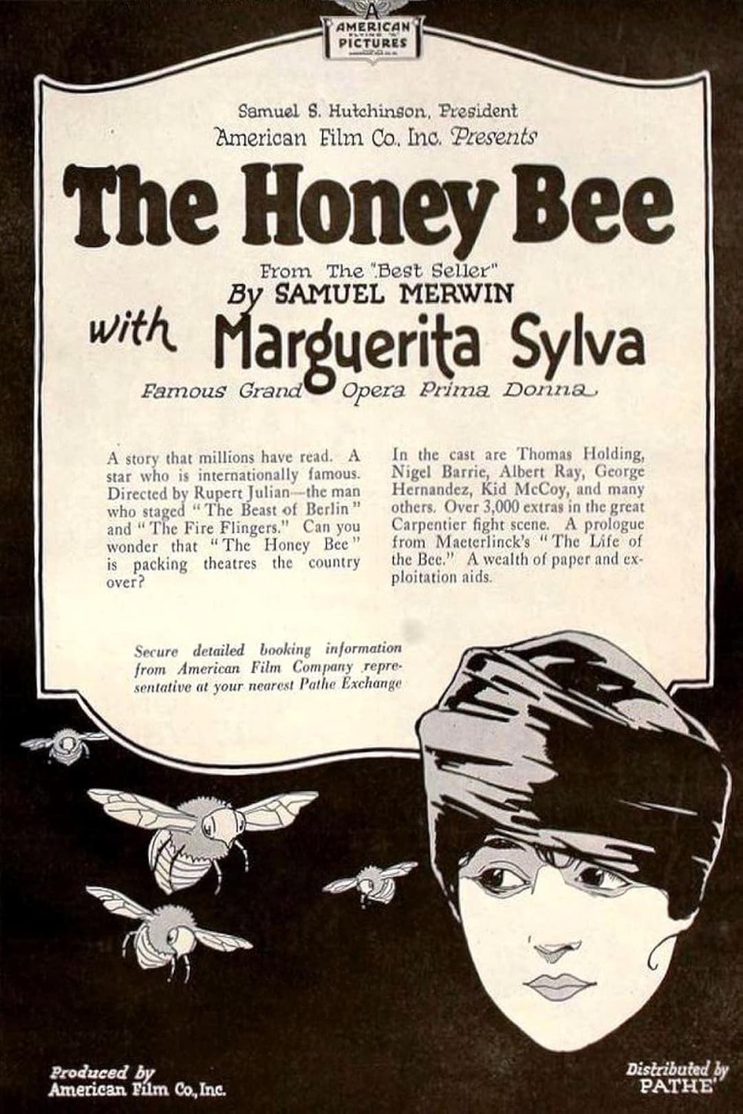 The Honey Bee