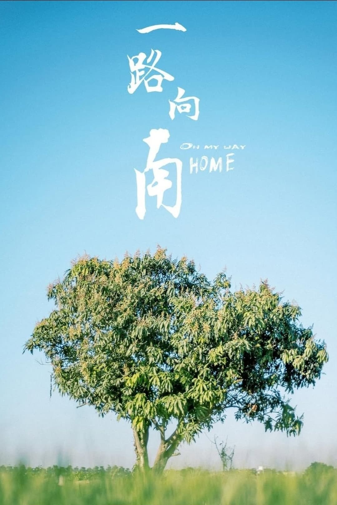 一路向南