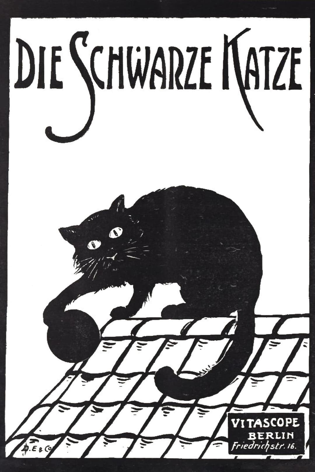 Die schwarze Katze 1. Teil