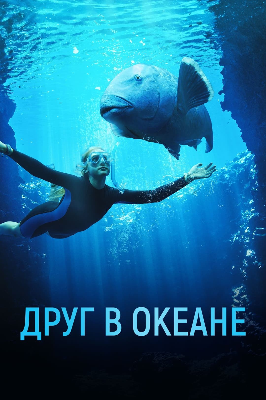 Blueback
