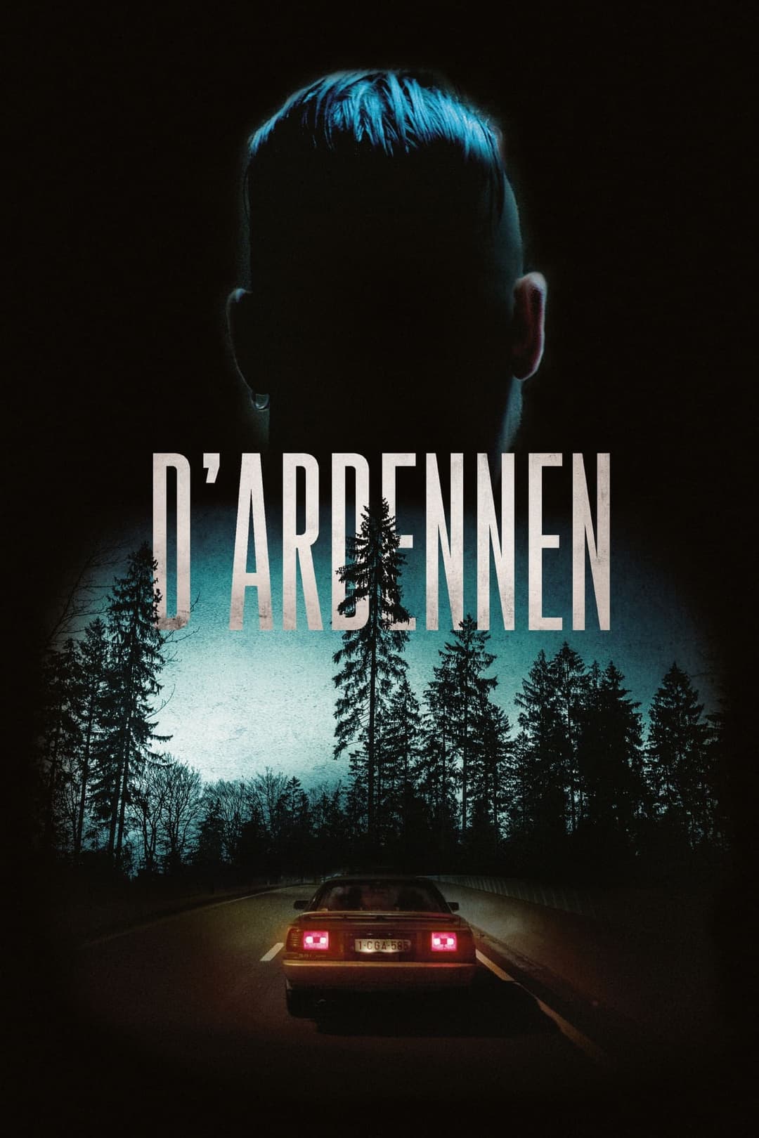 D'Ardennen