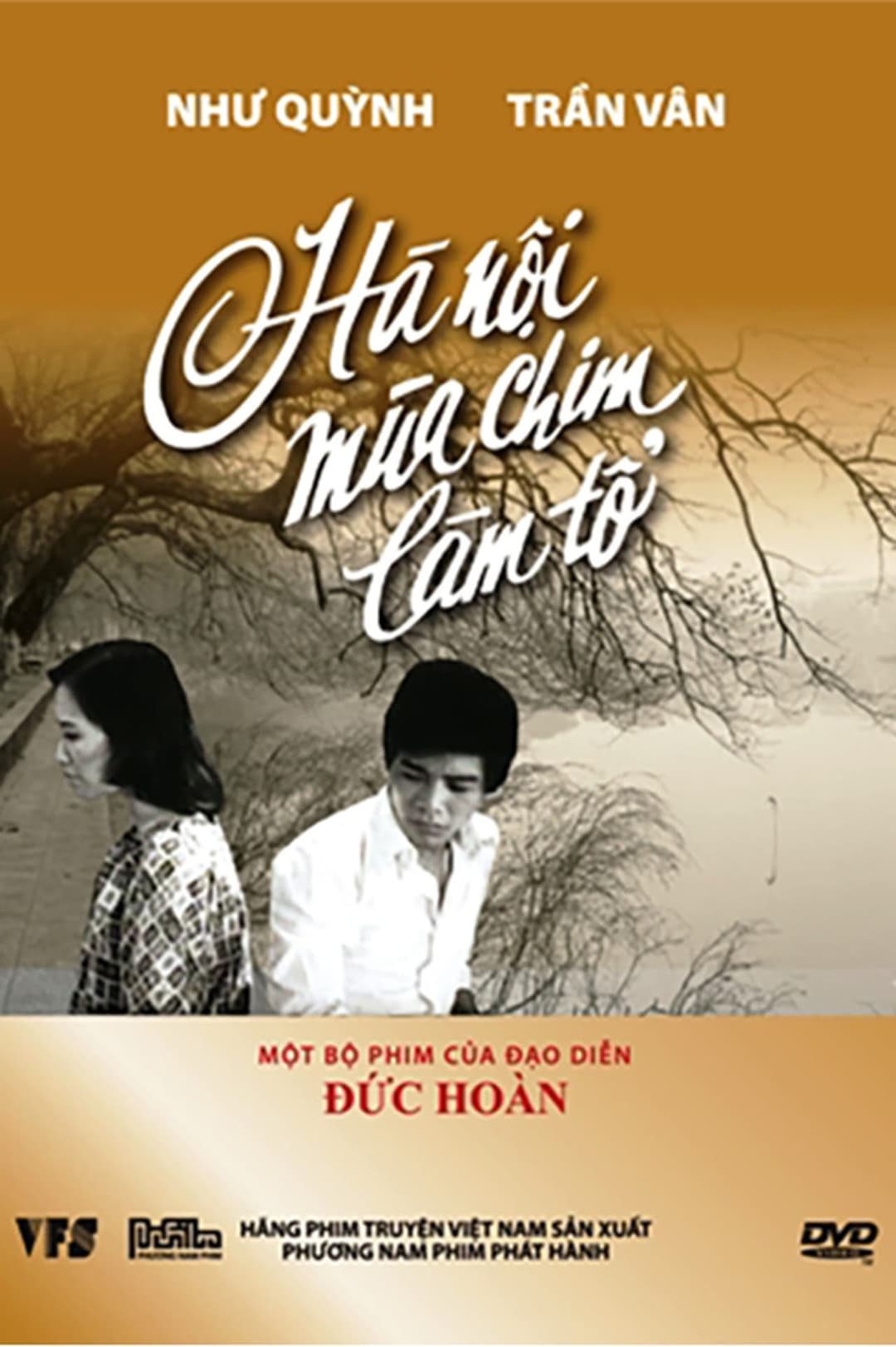 Hà Nội mùa chim làm tổ