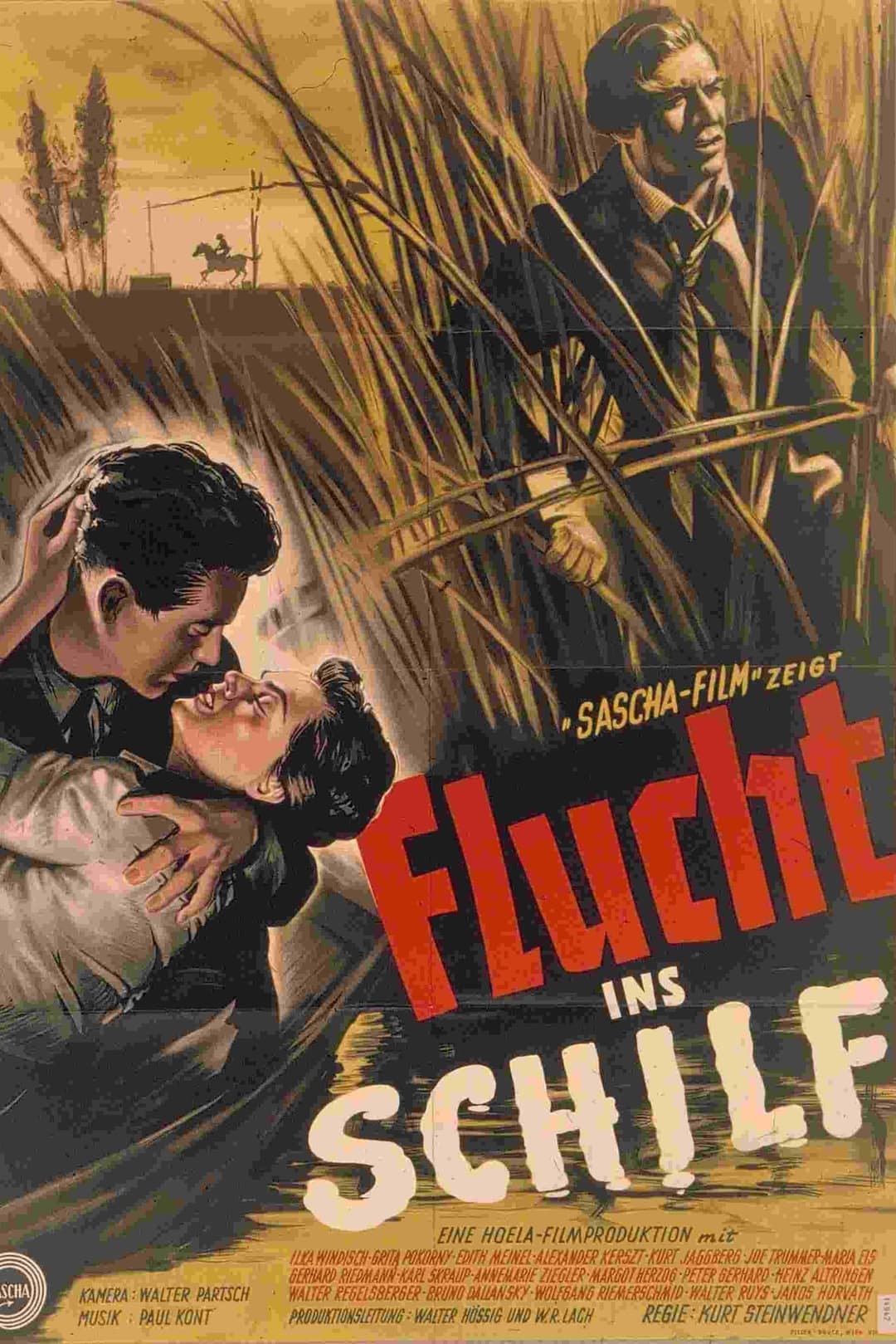 Flucht ins Schilf