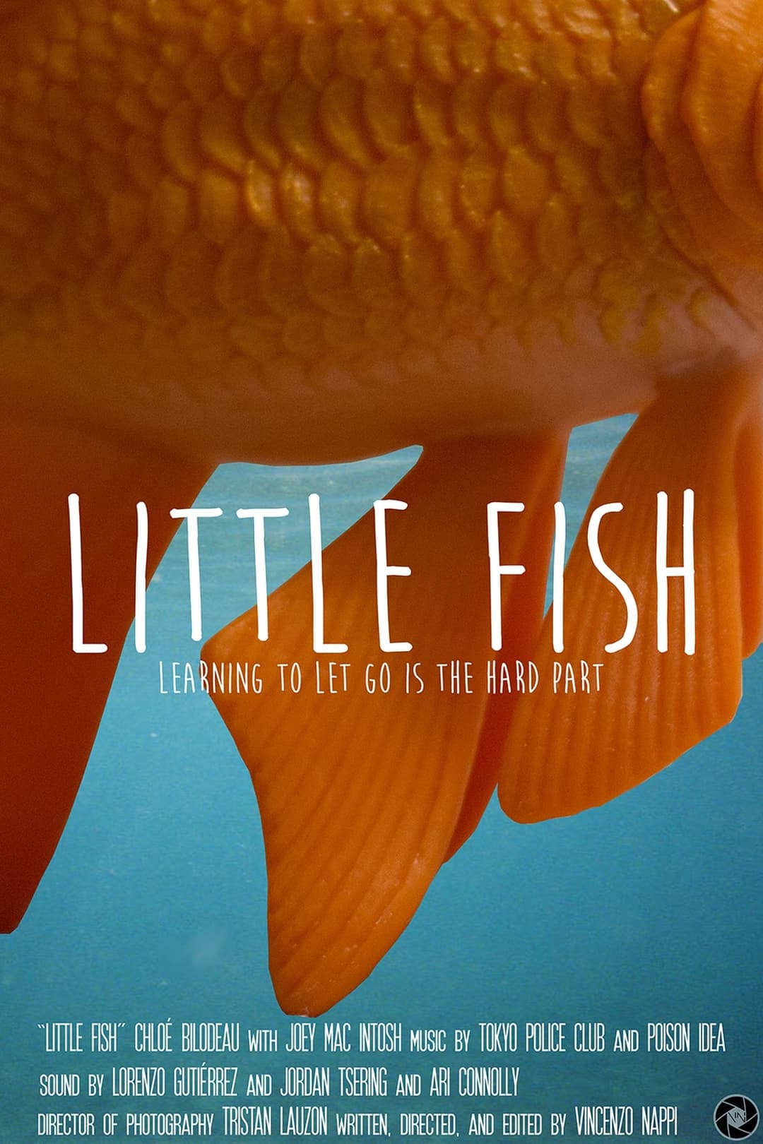 Little Fish