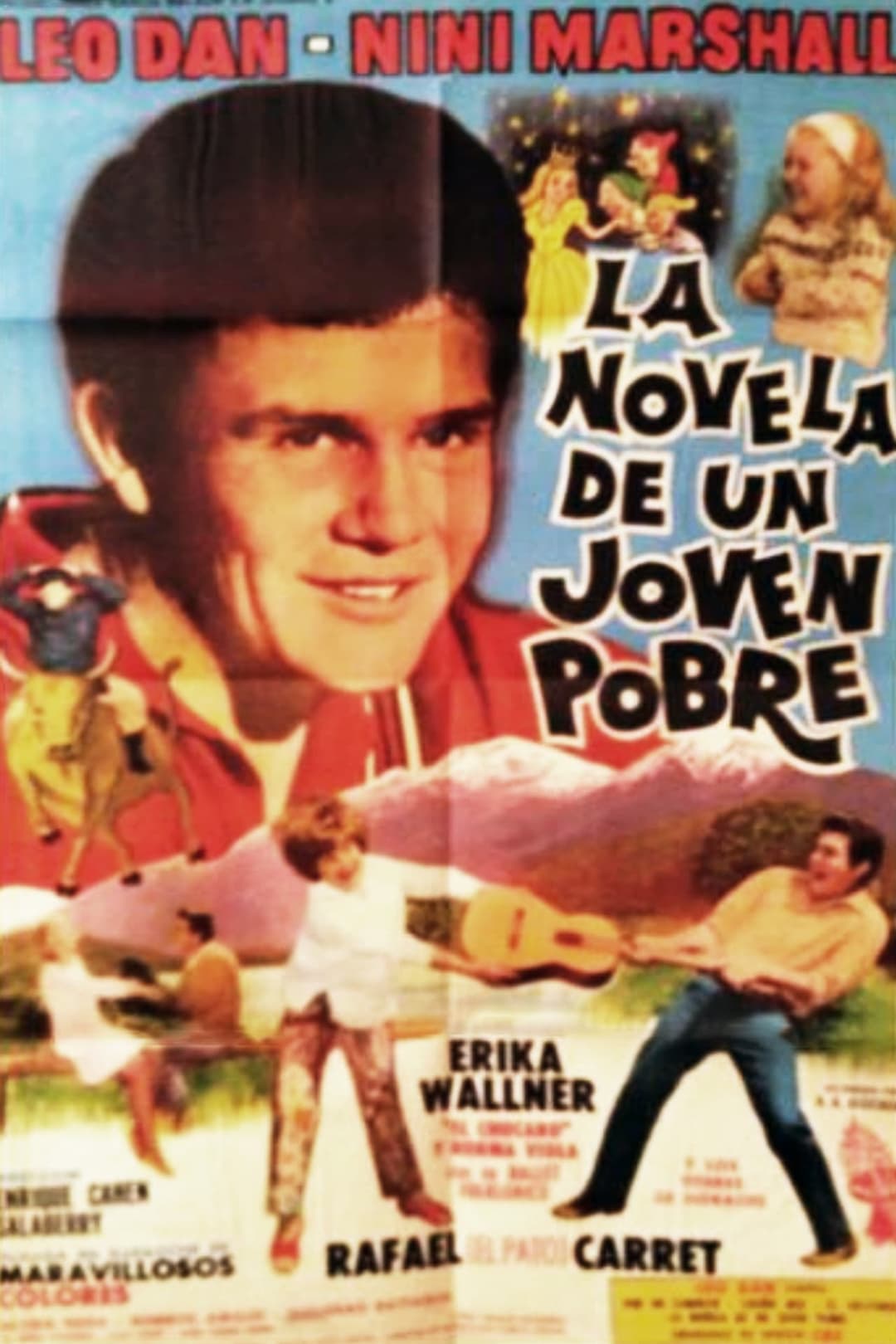 La novela de un joven pobre