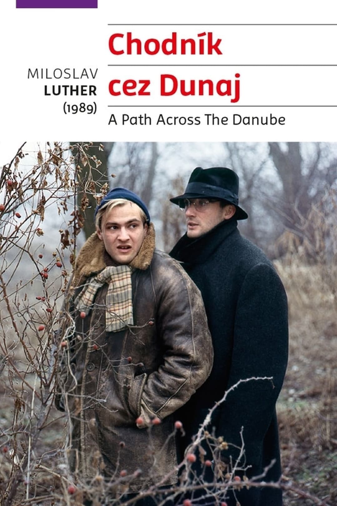 Chodník cez Dunaj