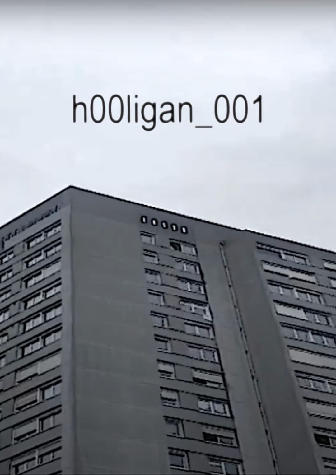 h00ligan_001