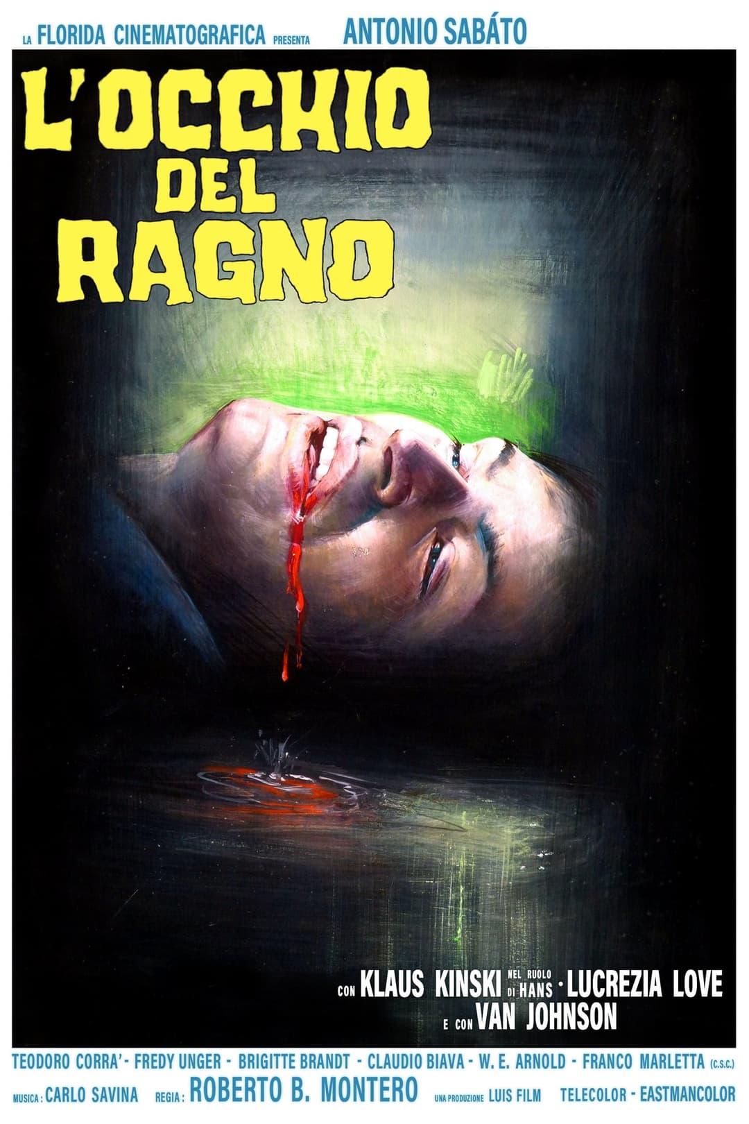 L'occhio del ragno