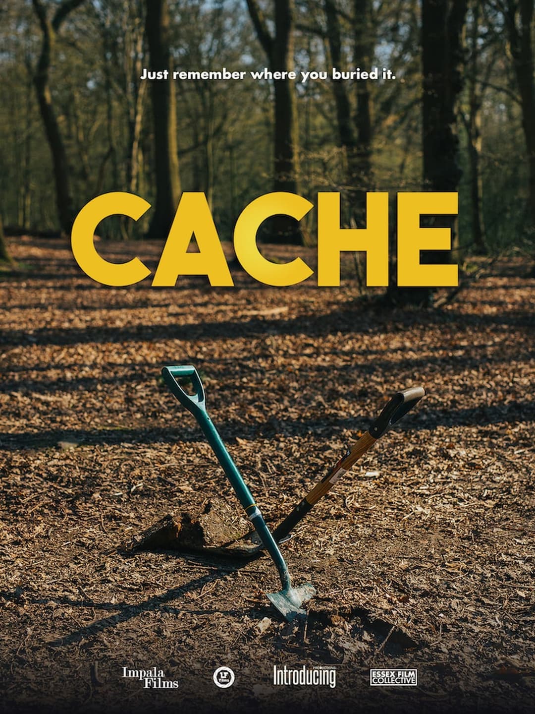 Cache