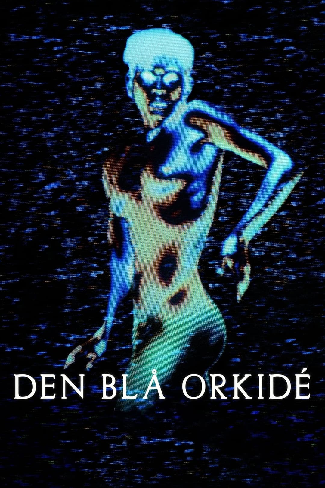 Den blå orkidé