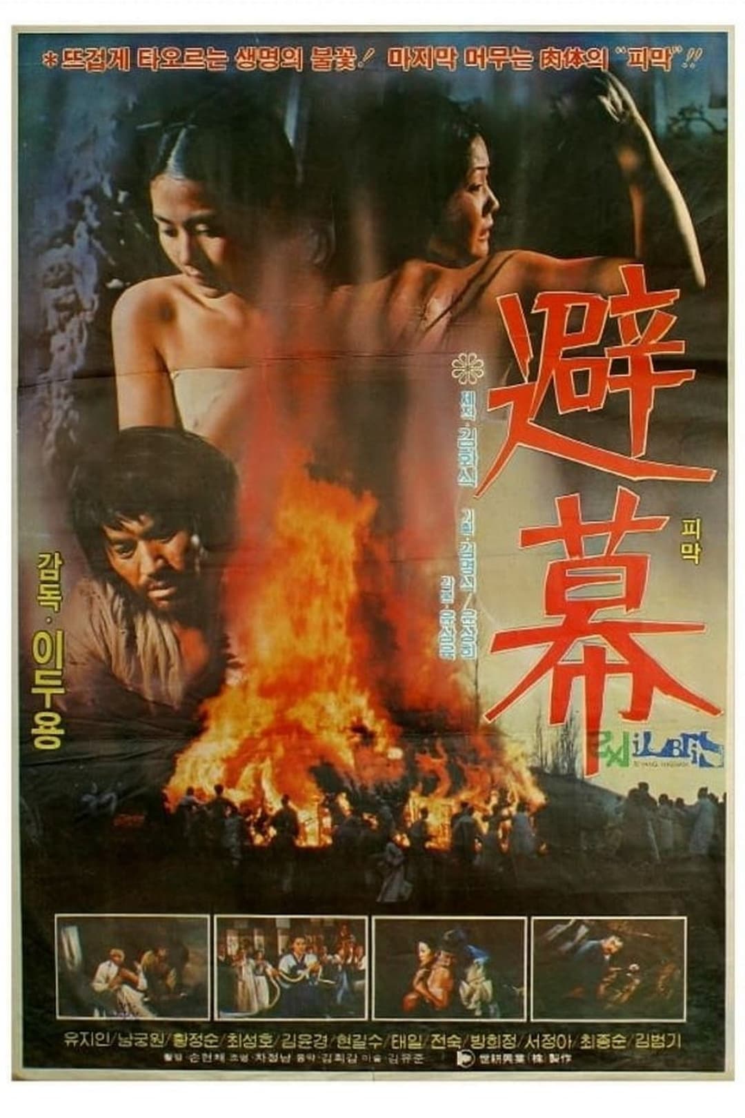 피막