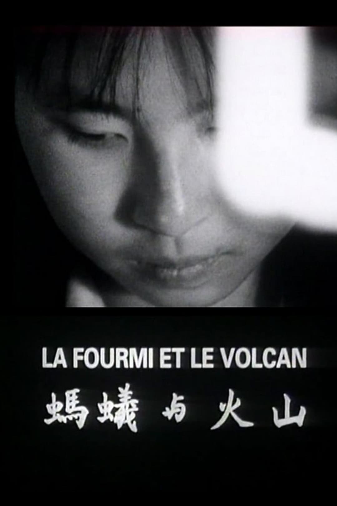 La fourmi et le volcan