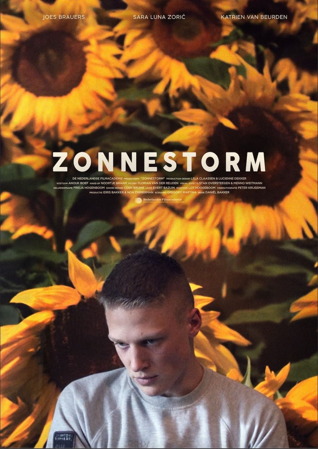 Zonnestorm