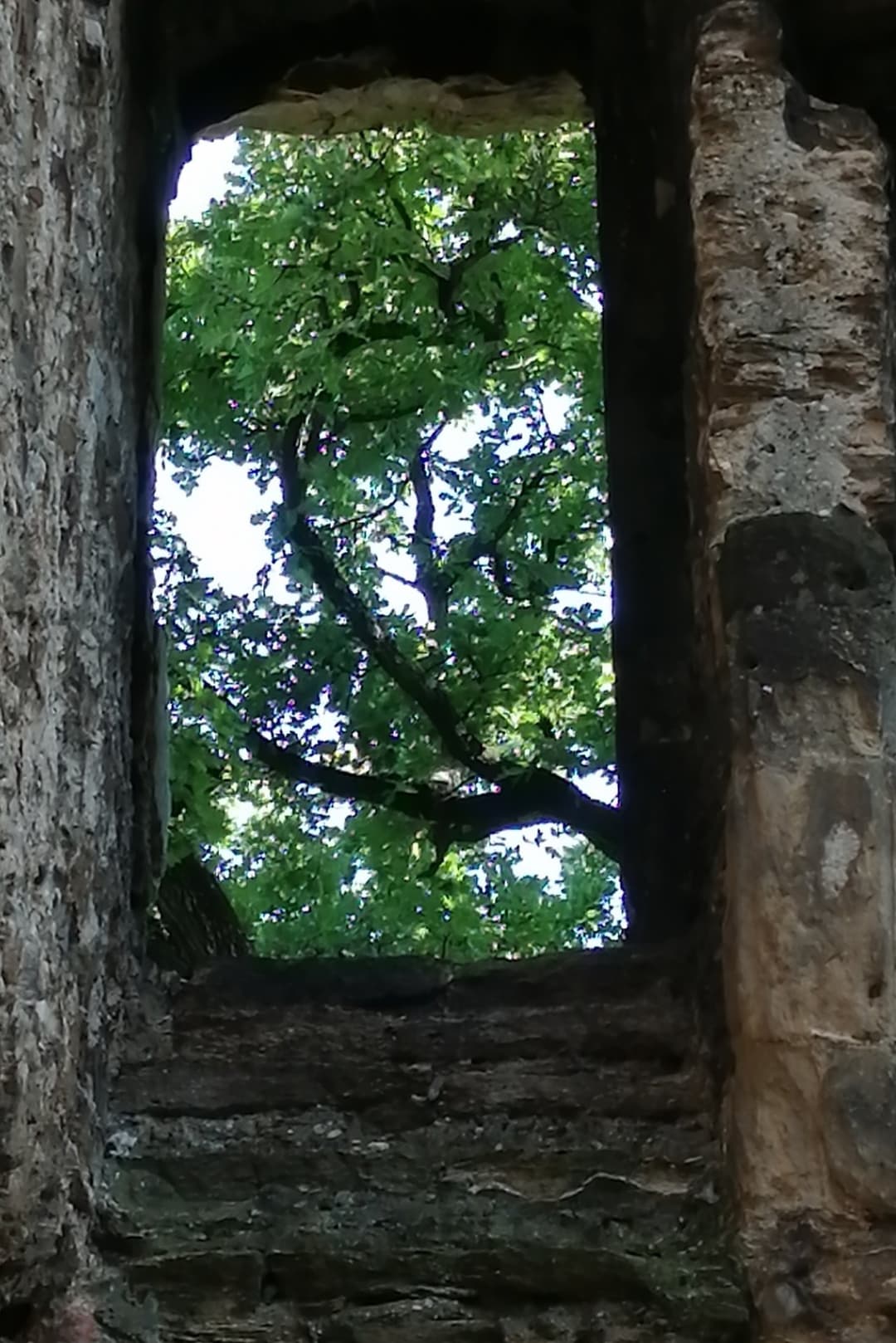 Les ruines du château de Seyssuel