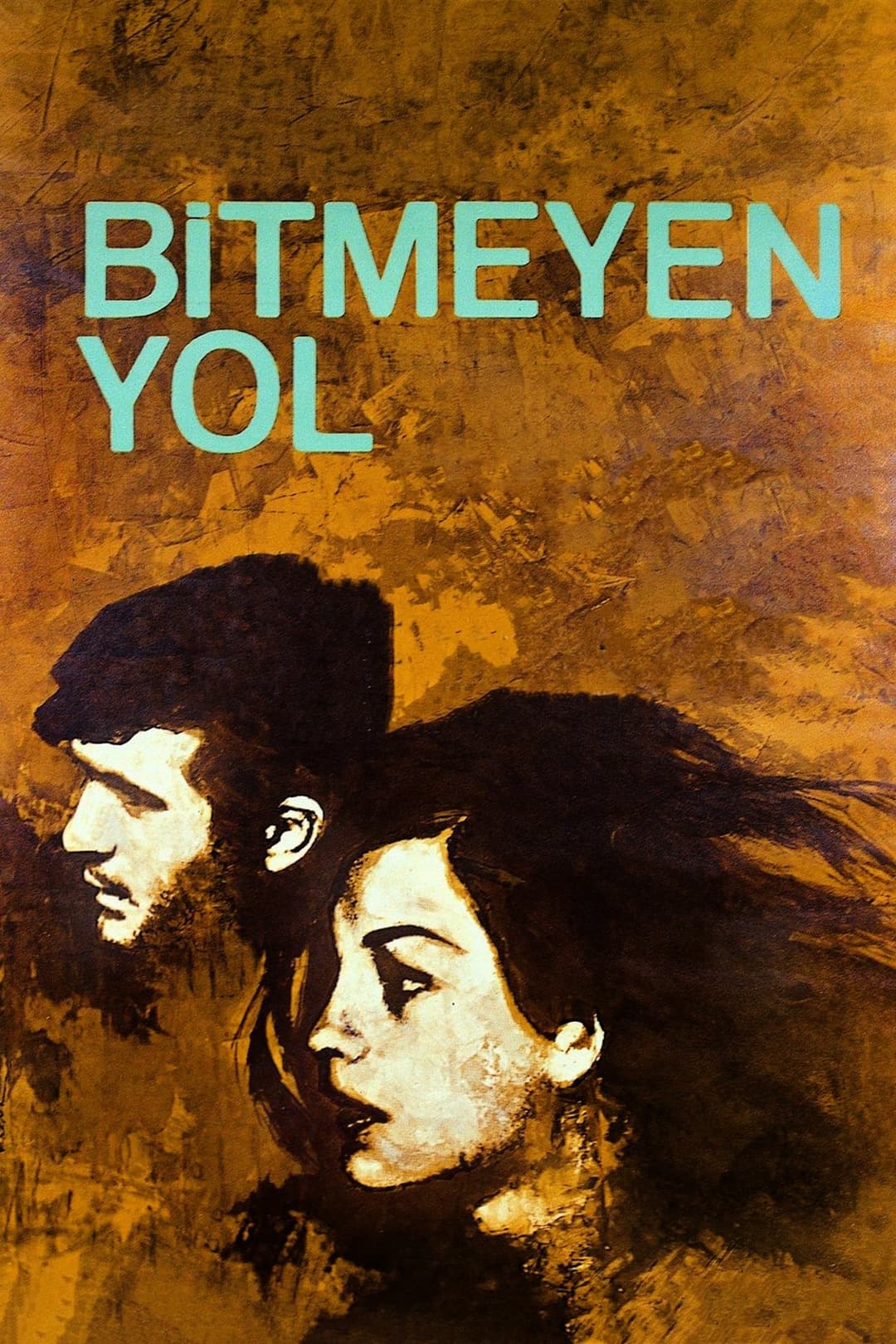 Bitmeyen Yol