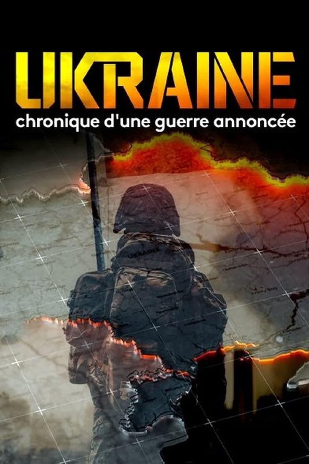 Euromaidan - Chronik eines angekündigten Krieges