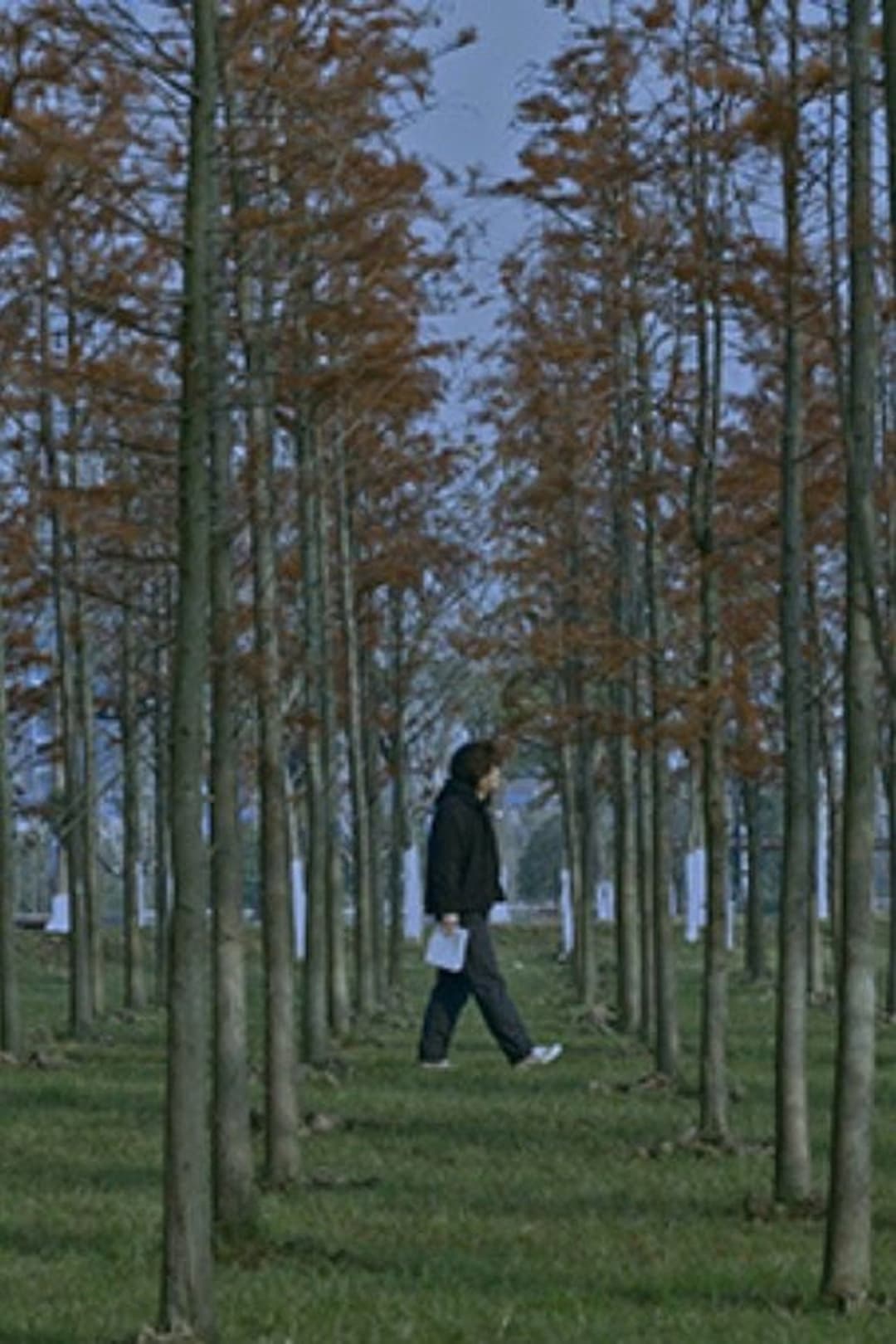 五里霧中