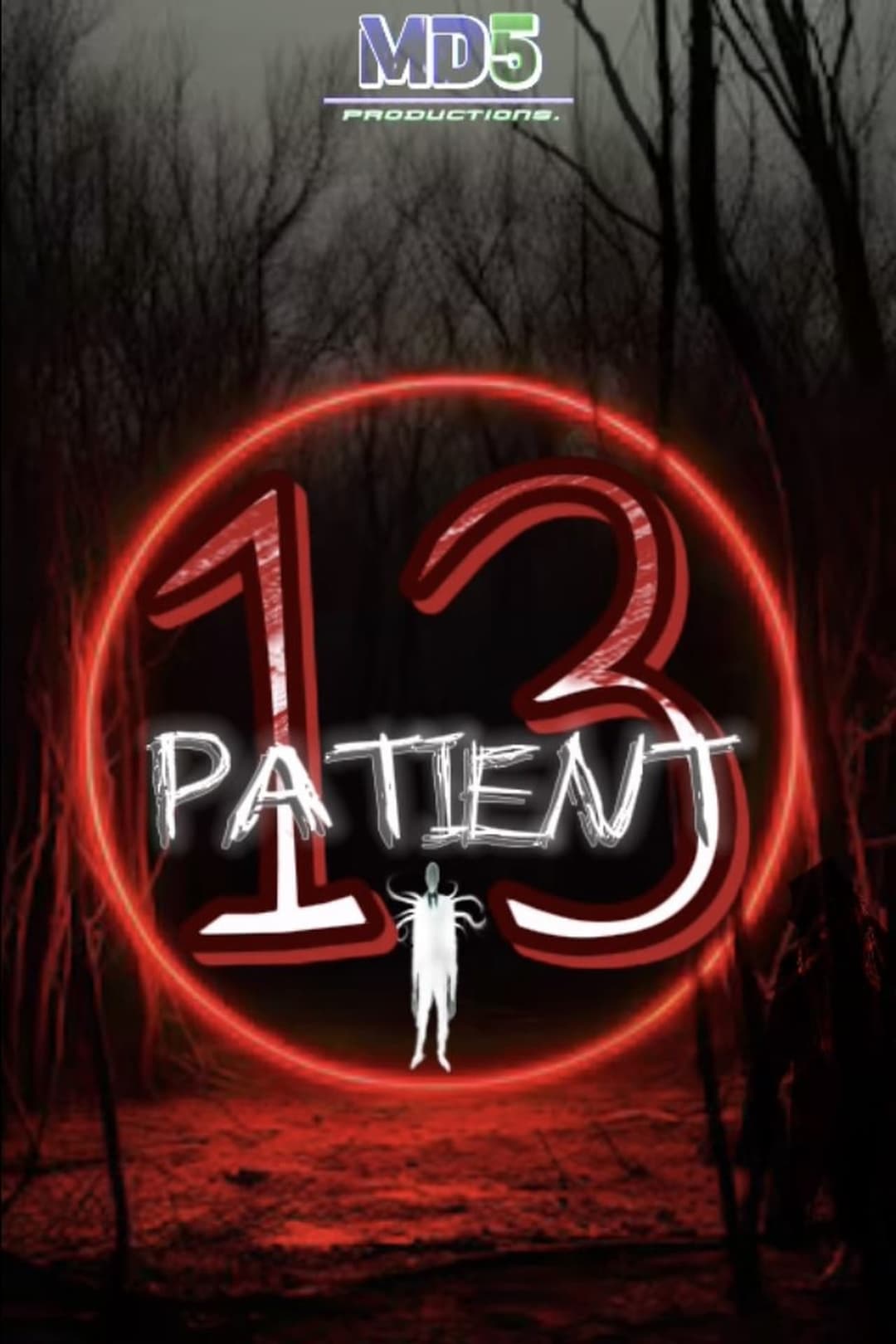 PATIENT 13