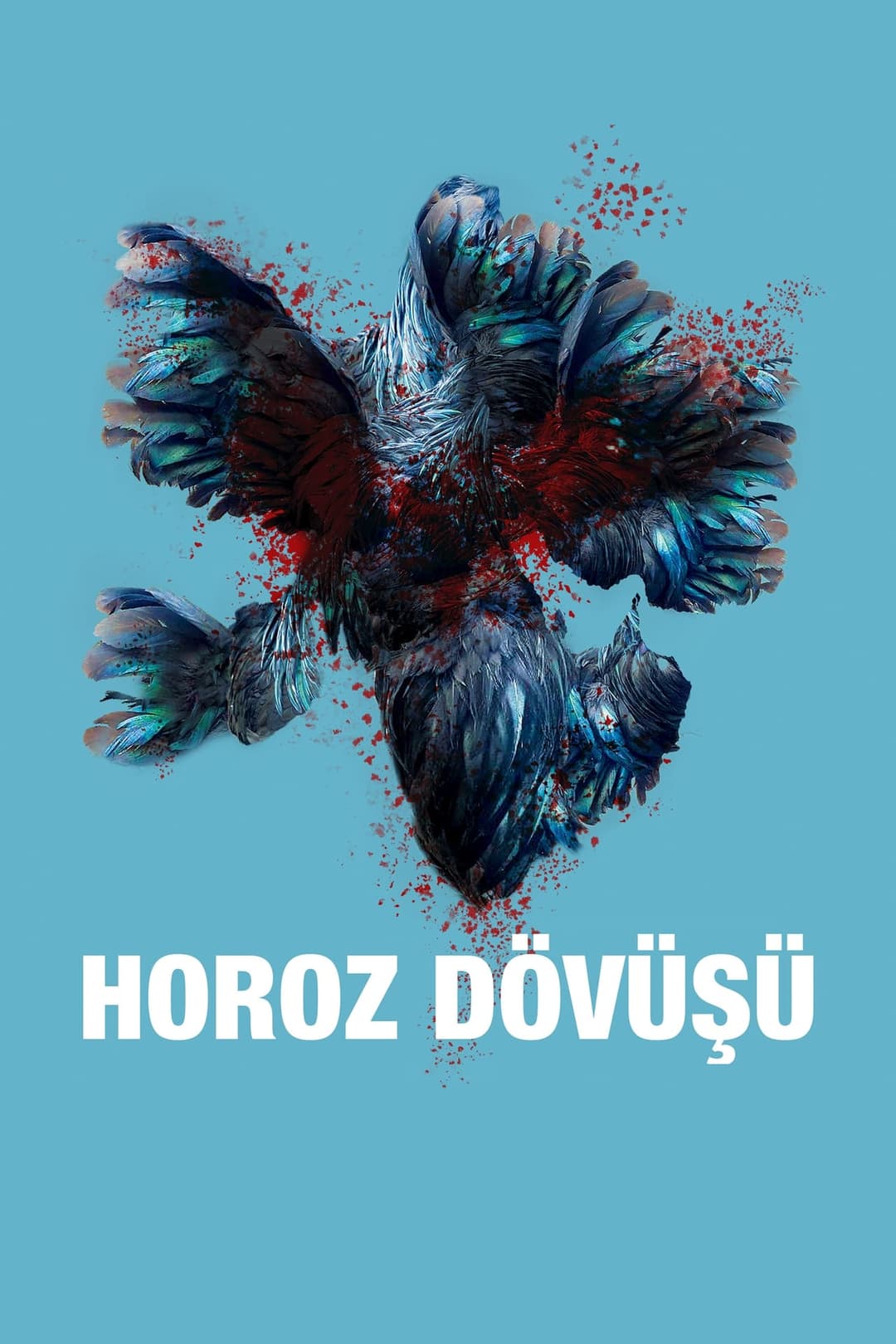 Horoz Dövüşü