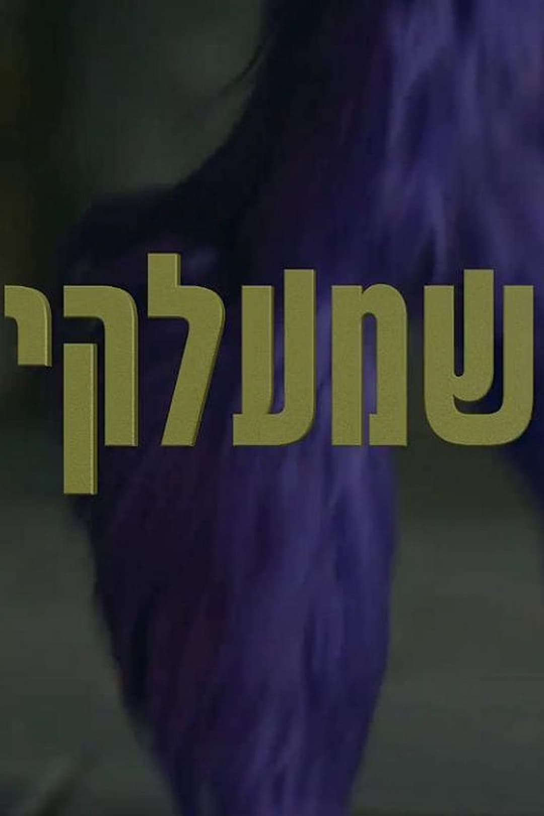 שמלכי