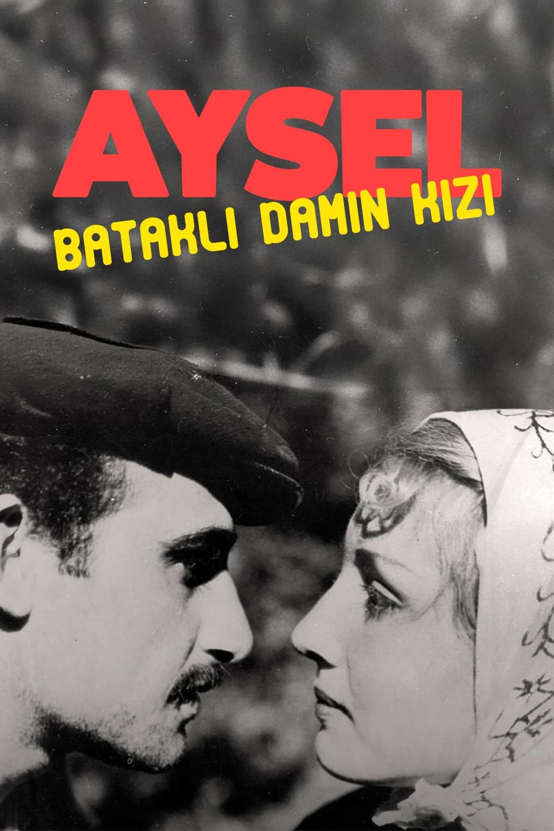 Aysel: Bataklı Damın Kızı