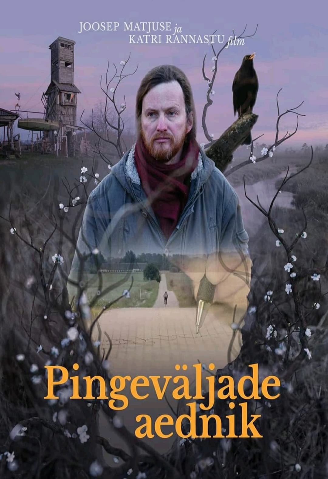 Pingeväljade aednik