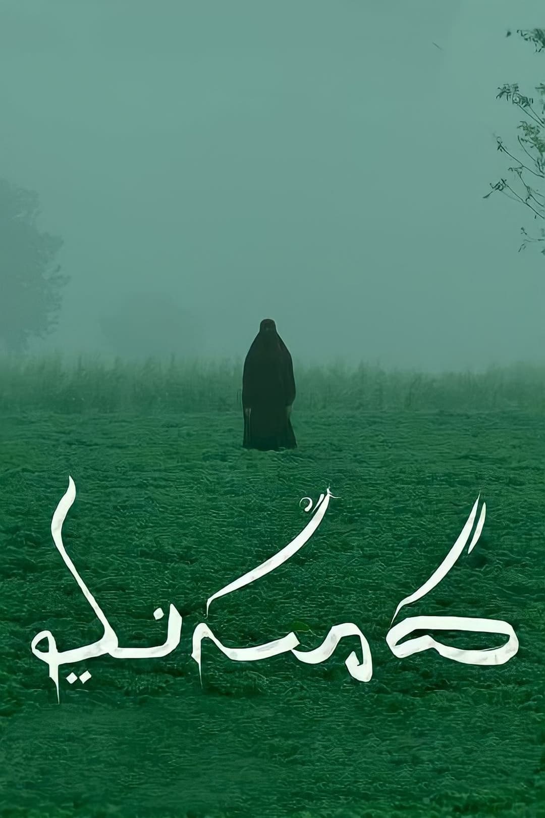 మసూద