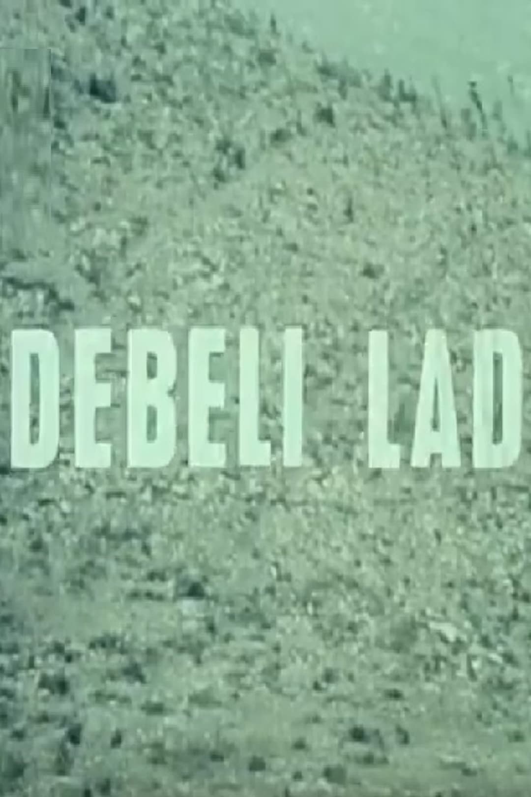 Debeli lad