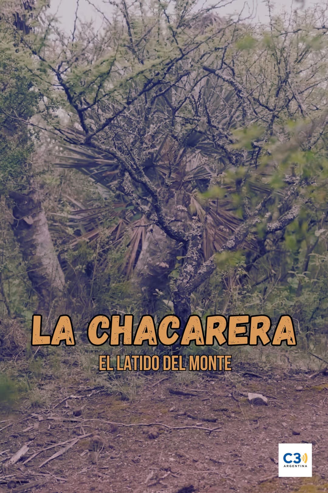 La chacarera: el latido del monte