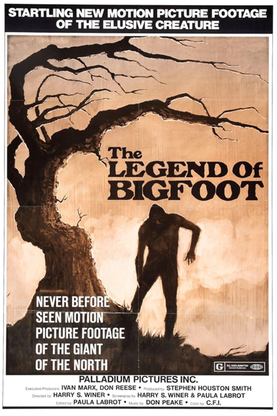 Bigfoot: Man or Beast?