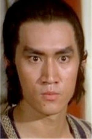 洪新南