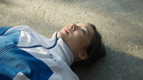 日光之下