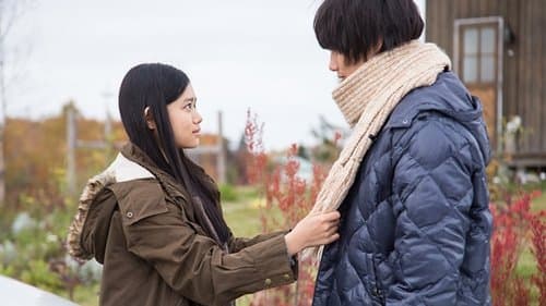 愛を積むひと