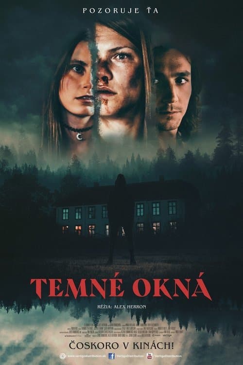 Dark Windows