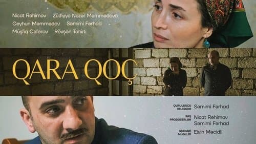 Qara Qoç