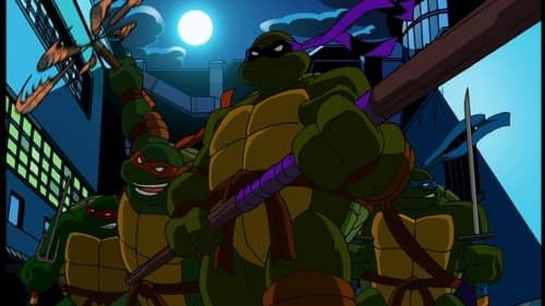 TMNT: Things Change